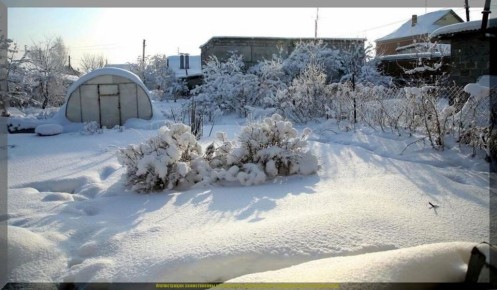 ���� �� ����: ���� � ���� ��� ��������