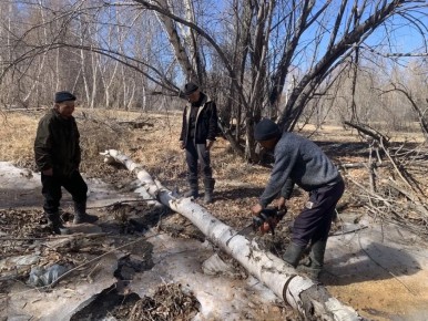 ����-������� ����� ���� ����������� ��������