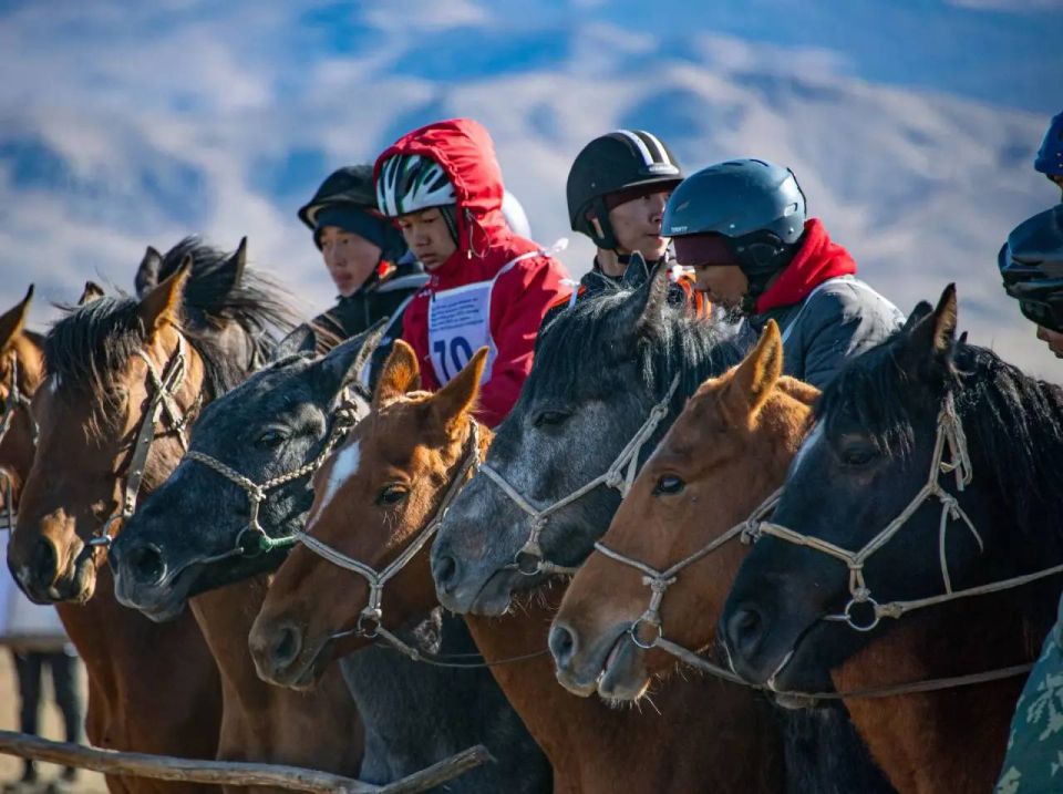 ��������� �������: � ����� ������ � ����-���������� ������ �� ����� ����� XXXIII ��������� ������ - ������ �� ���� ������������ ���������� ���������� ��������