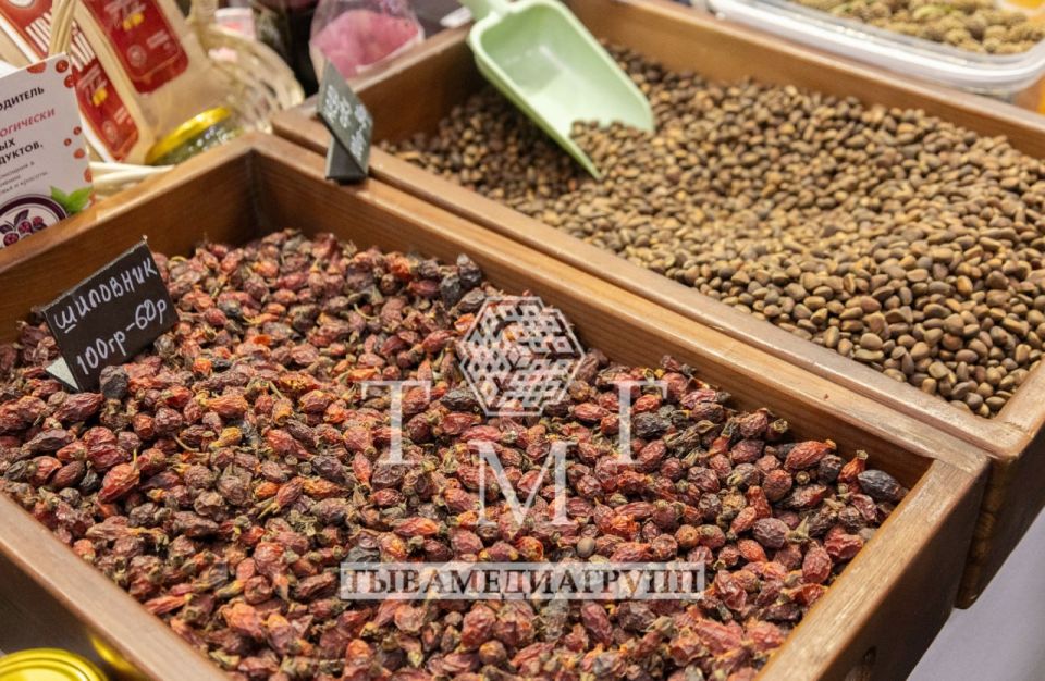 � ���� �������� II �������������� ����� �����������-2026�