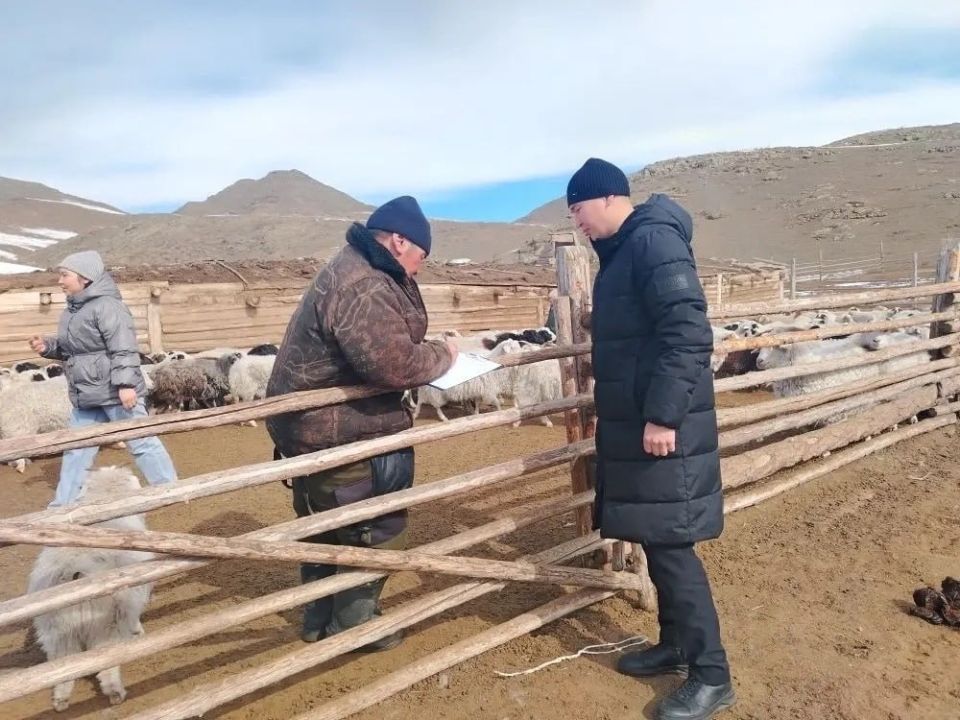 ����� ��� ���-����� ������������� ������� �������� �����