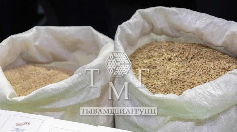 � ���� �������� II �������������� ����� �����������-2026�