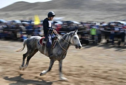 ��������� �������: � ����� ������ � ����-���������� ������ �� ����� ����� XXXIII ��������� ������ - ������ �� ���� ������������ ���������� ���������� ��������