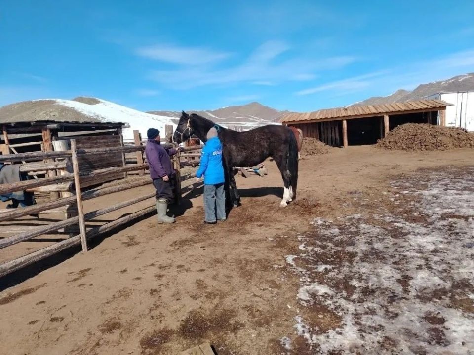 ����� ��� ���-����� ������������� ������� �������� �����