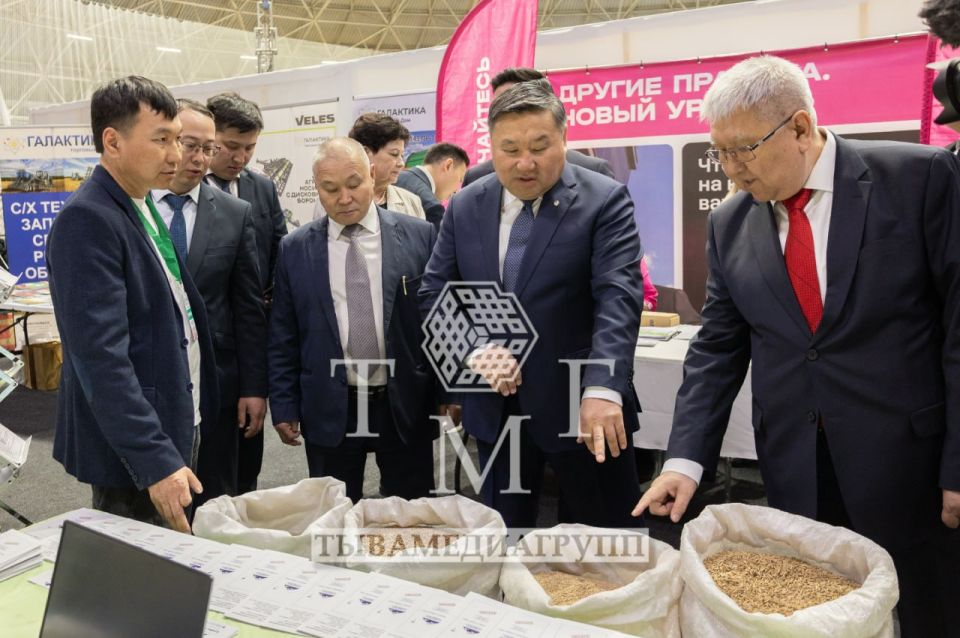 � ���� �������� II �������������� ����� �����������-2026�