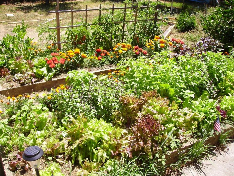 ����������� ���������: ����������� ������ ������ ������ �� ����������