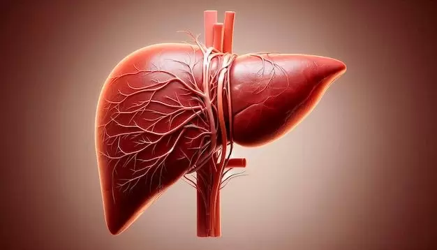 Как простые продукты помогли нормализовать работу печени