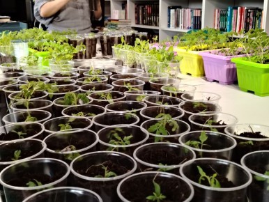 �������� ����� � ��� � ���-������� ������ ��������� �����������