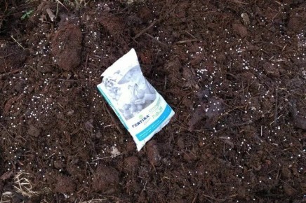 ����� ������� ������: ������� �������� ��������� ��� �������� ������