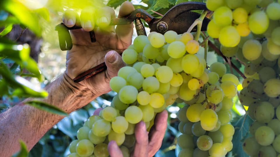 ����, ������� �������� �������: ����� ������� ���������