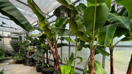 ������������ ������ �� ��� ����������: ������� �������� �������� � ��������