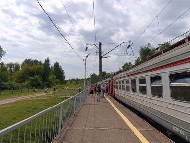 Август на даче: урожай, заботы и привычные радости лета