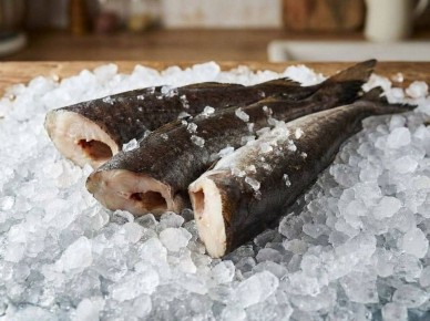 �������� ����: ��������� ��� �������� ��������