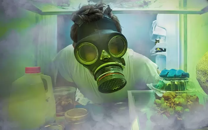 Как избавиться от стойкого запаха в холодильнике: проверенные методы