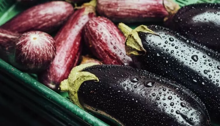 Как приготовить вкусные блюда из баклажанов: идеальные рецепты на лето