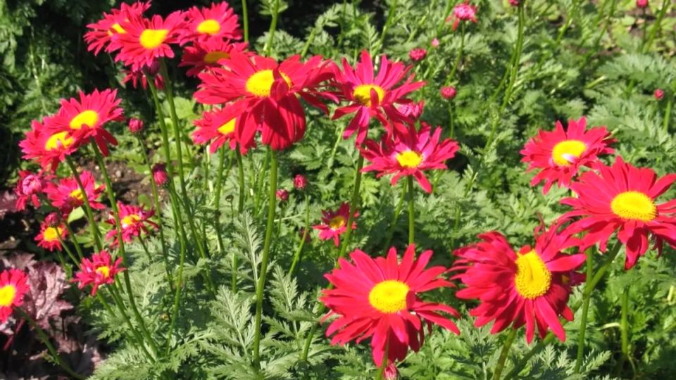 �������� ����� � �����: 9 �������� ������ ��� ������� ����