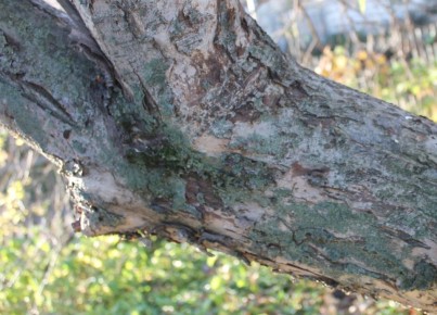 ��� ��������� ����� �������� ������ ���� � ��� � ���� ������