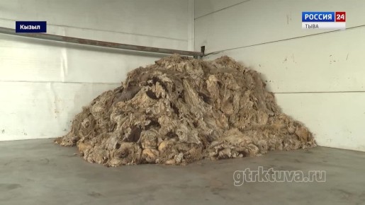 Перспективная отрасль. В Туву с рабочей поездкой прибыла делегация федеральных чиновников