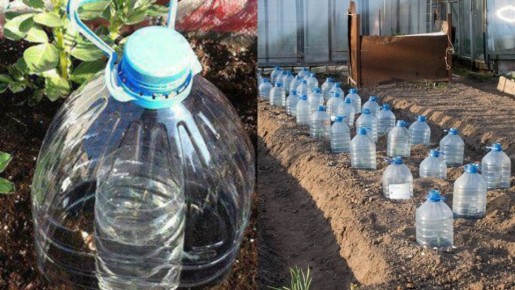 Солнечный дождеватель: инновационное решение для дачников