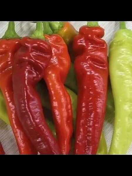 �������� ������: ��� ��������� ������ ����� � ����������