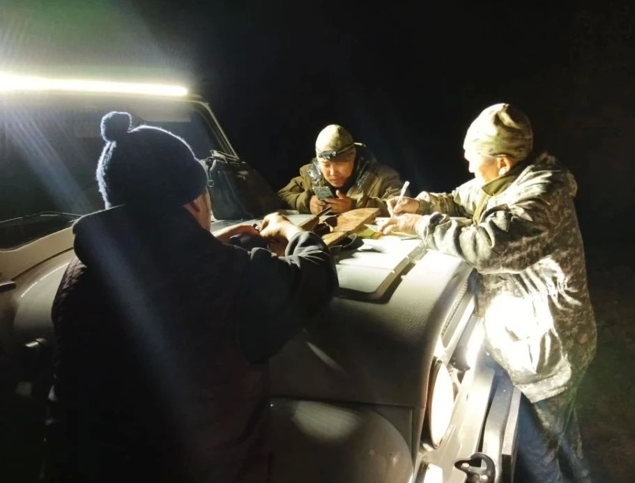 �������������� ������� ��������� ����� ������ ������ ����������� � 2025 ����