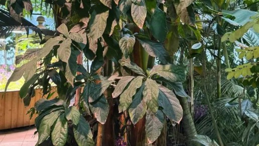 ������� ����� ������ ��������� � ����������� �������