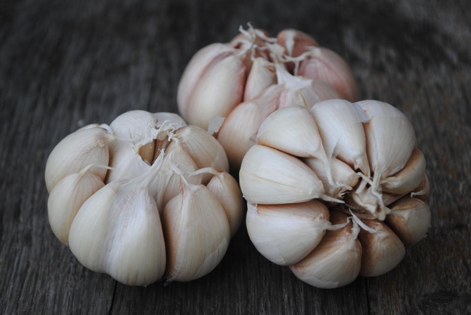 ��� ��������� ����������� ������ ��� ������ ������: ������� ��������� ������