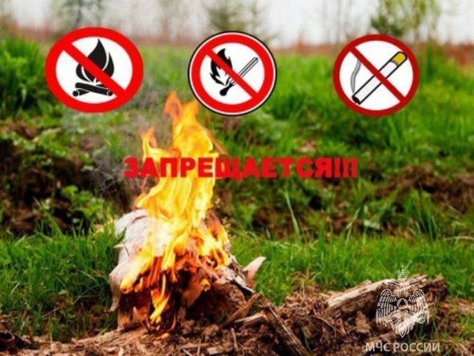 ������ ��������������� ����� � ����: ��������� �������� ���� � ��������� ������