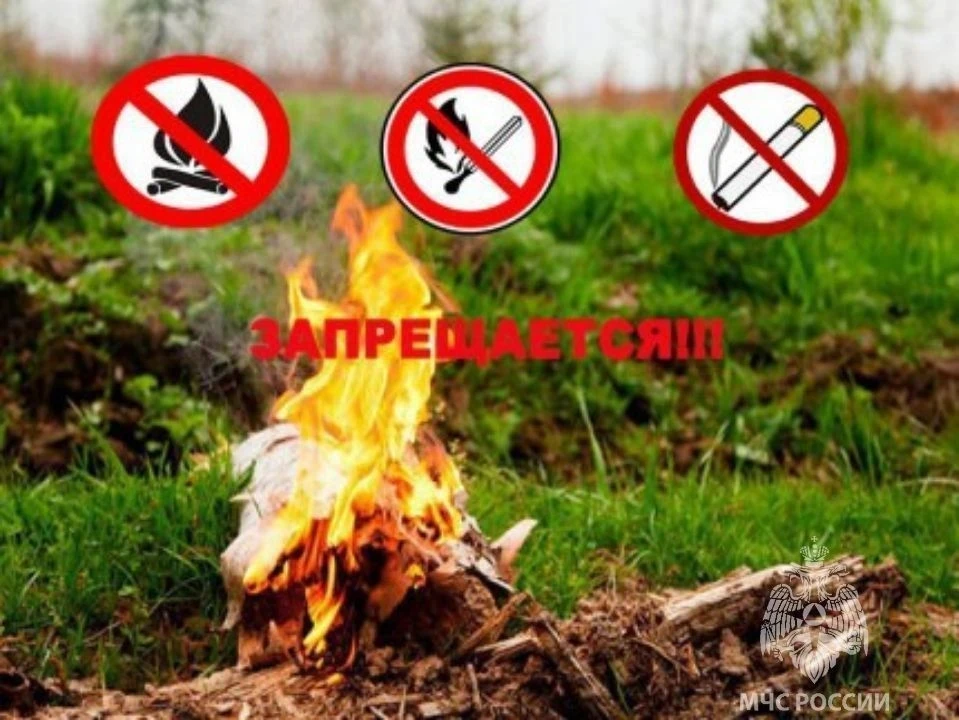 Особый противопожарный режим в Туве: запрещено посещать леса и разводить костры