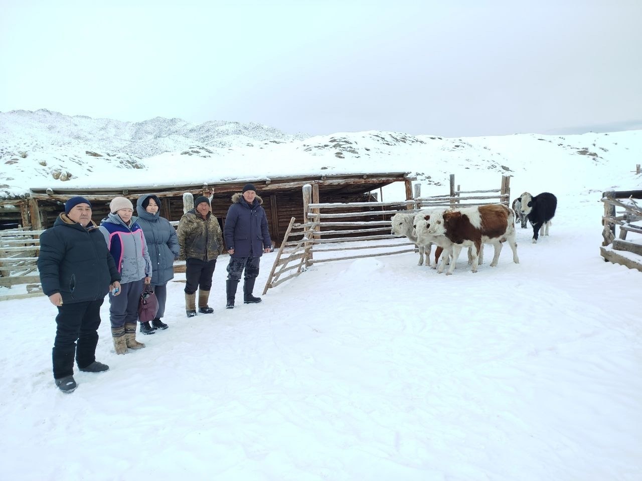 В Эрзинском районе подвели итоги зимовки скота: поголовье сохранено, идет массовый окот