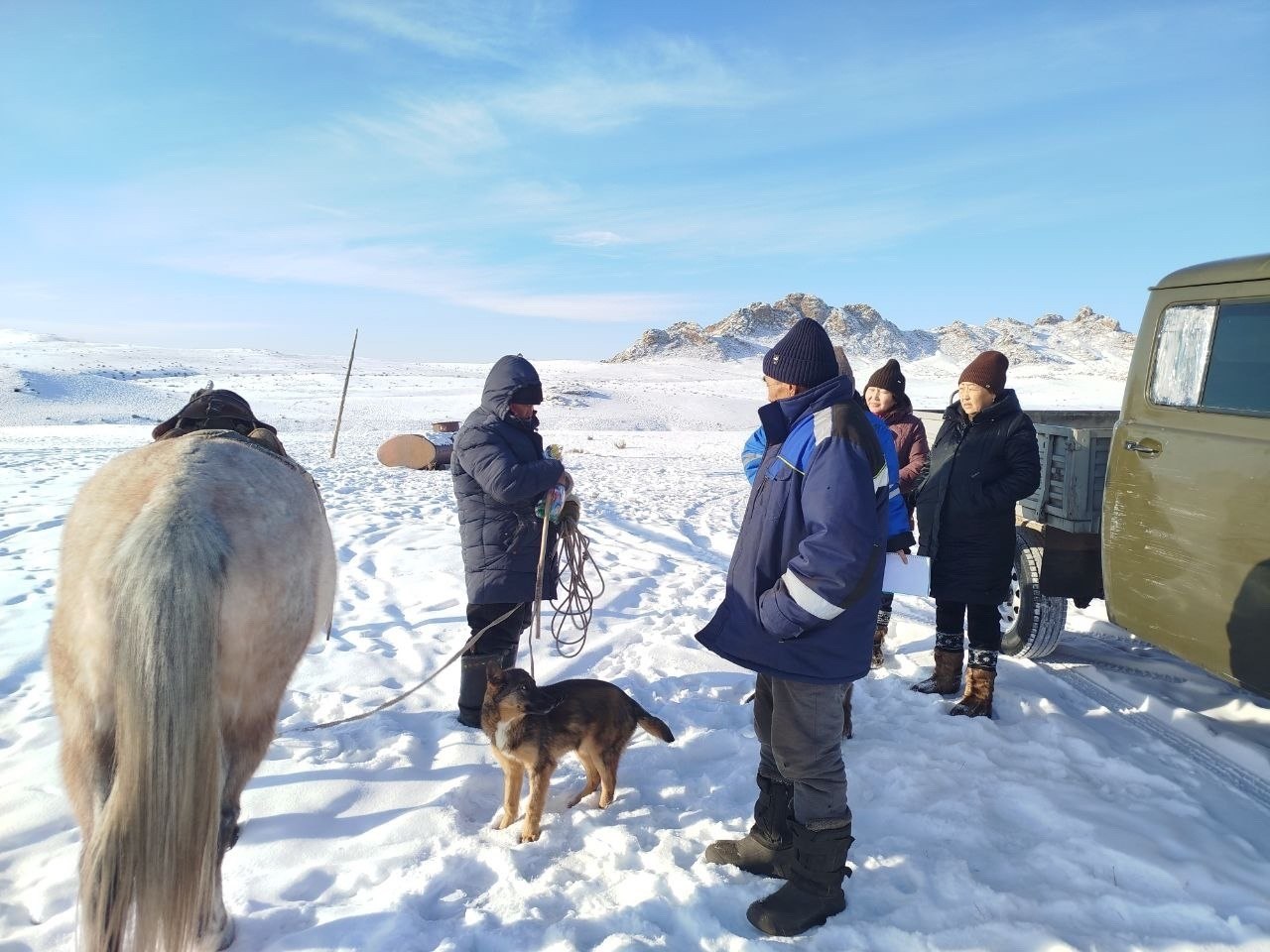 В Эрзинском районе подвели итоги зимовки скота: поголовье сохранено, идет массовый окот В Эрзинском районе подвели итоги зимовки скота: поголовье сохранено, идет массовый окот