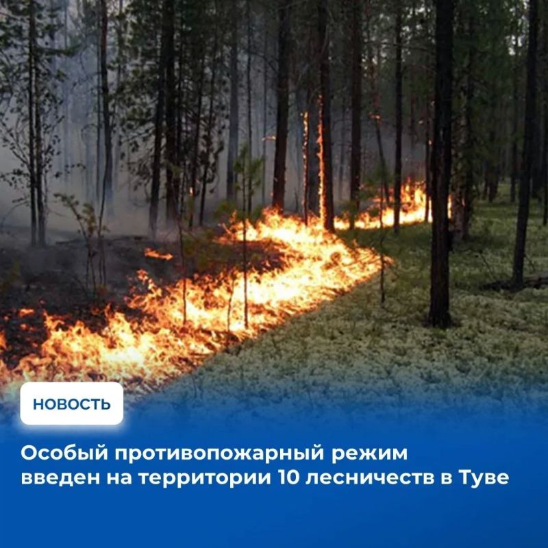 � 15 ������ � ���� ����� ����������� ������ ��������������� �����