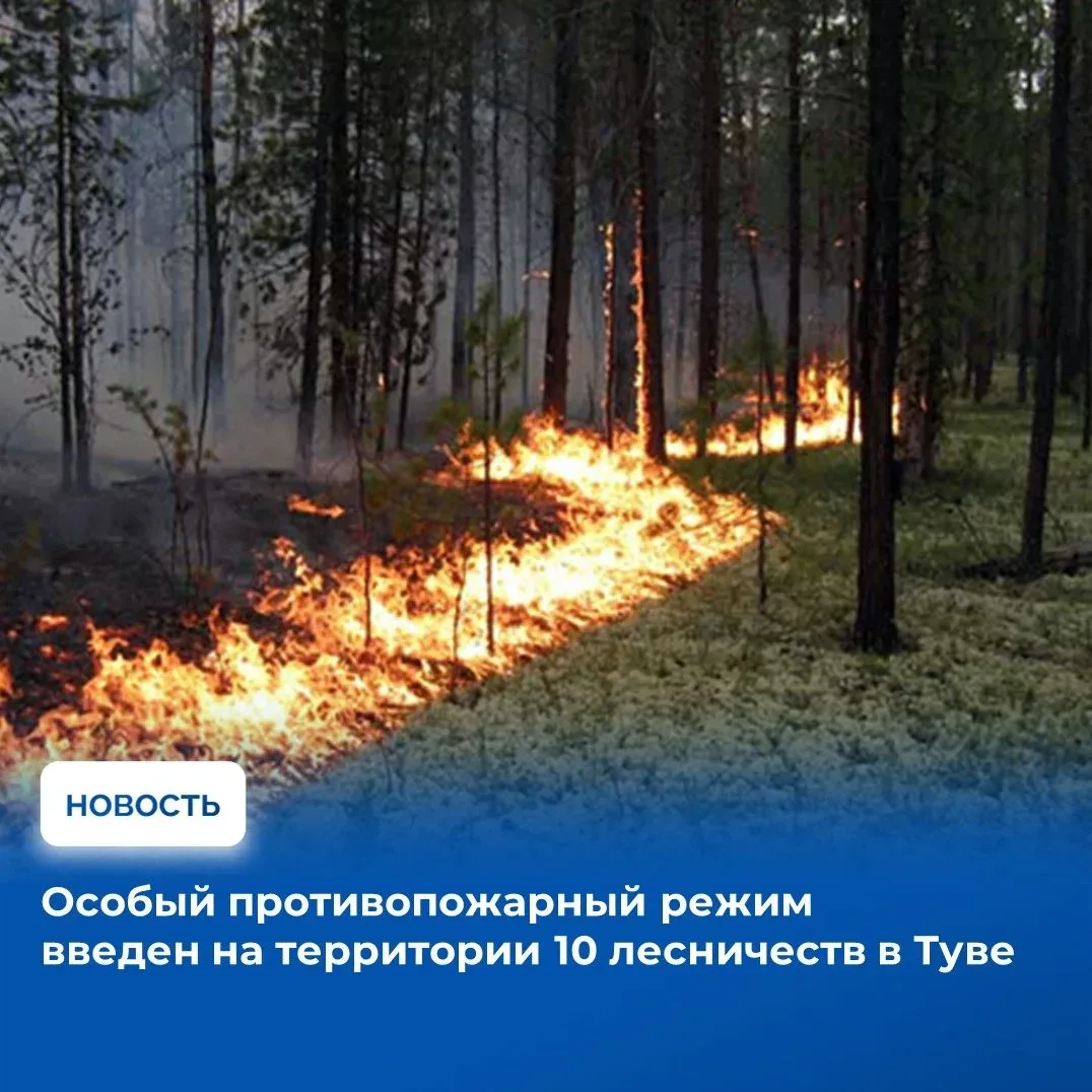 С 15 апреля в Туве будет действовать особый противопожарный режим