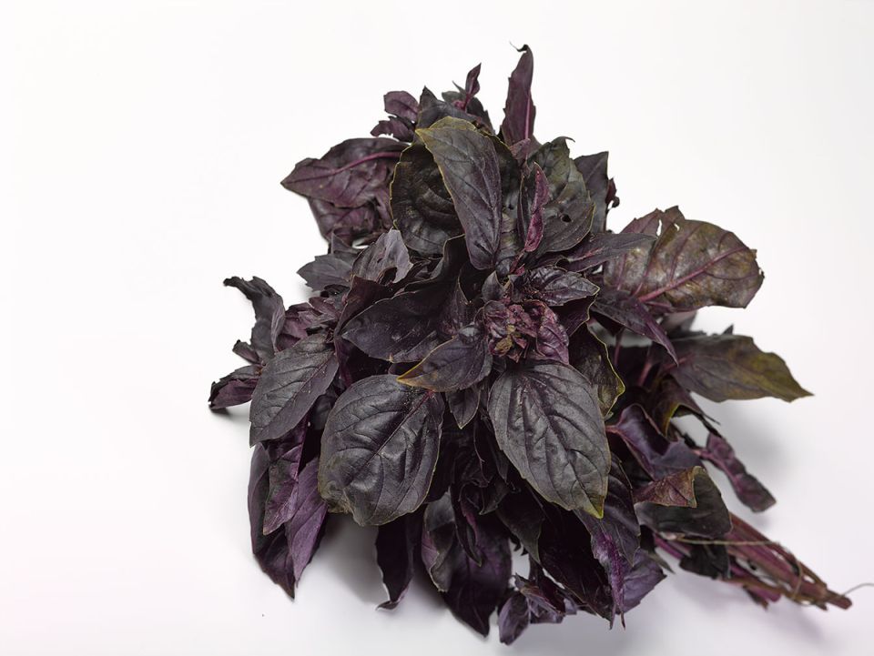 ���������� �������� ��������