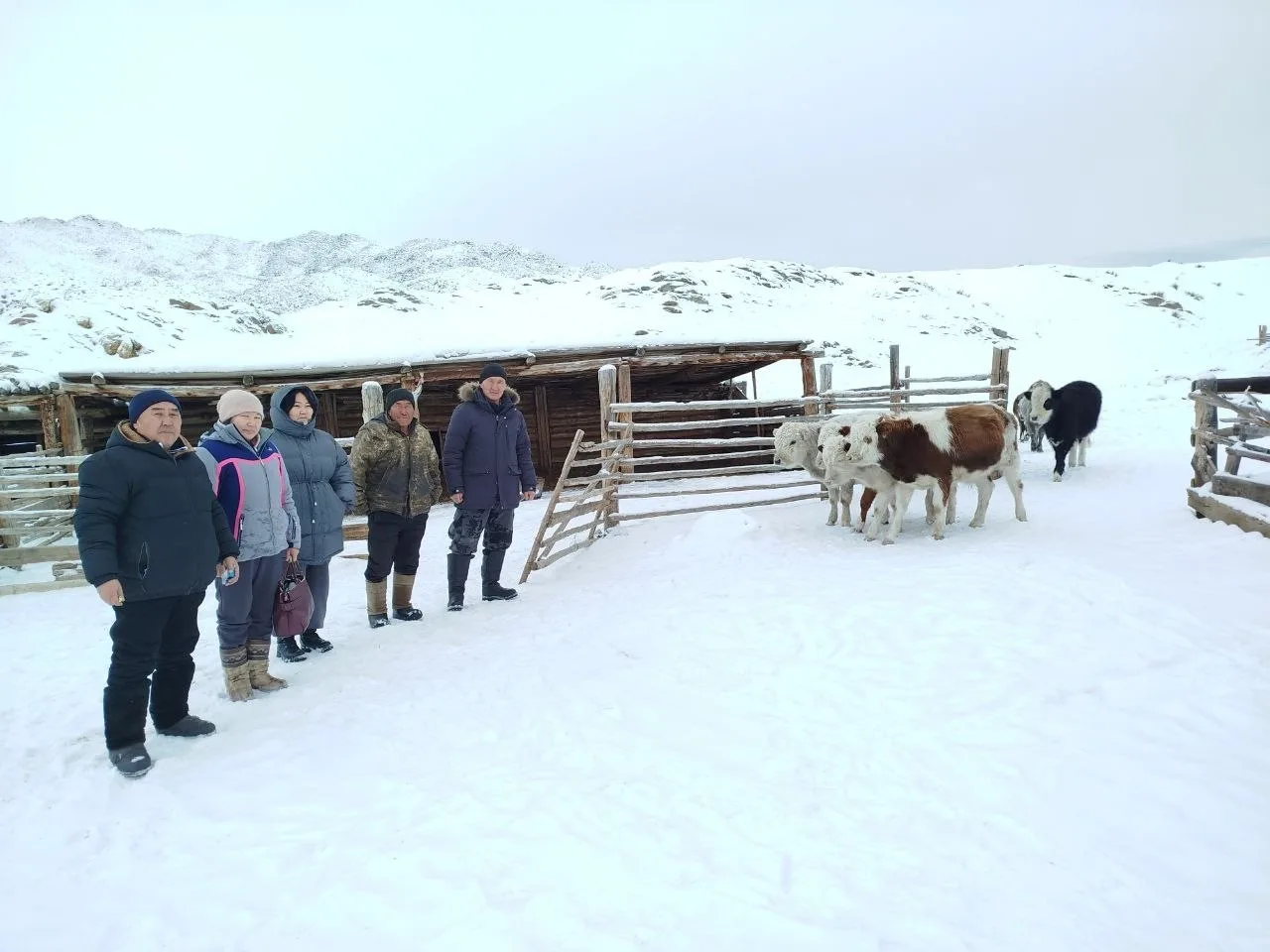 В Эрзинском районе подвели итоги зимовки скота: поголовье сохранено, идет массовый окот