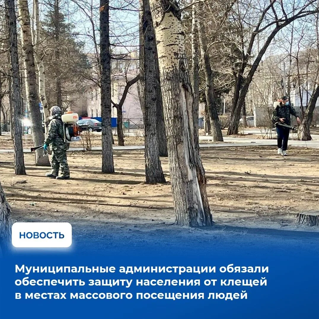 В Туве зафиксирован рост обращений в больницы с укусами клещей