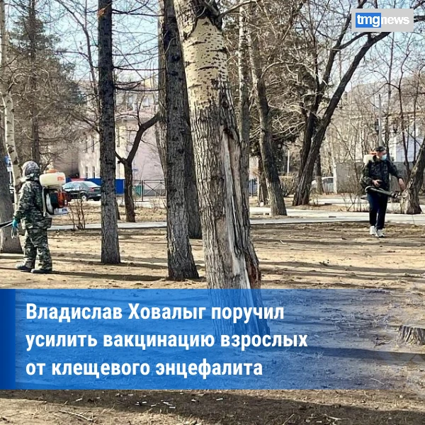 В Туве начался сезон активности клещей: вакцинация и обработка территорий взяты на контроль