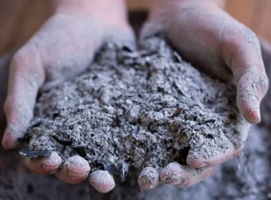 Каким растениям не стоит давать древесную золу: советы для садоводов