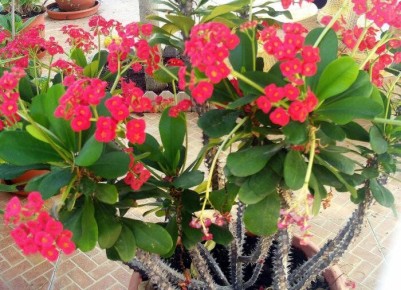 ��� ������� ����� ����������� ���� ��������� ��������