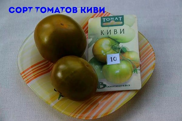 ����: ���� ���������, ������� ���������� �������� ���������