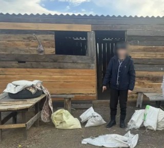 � ����-������� ������ ���������� ������� ������ ������� ������ ���������� � ����� 11 ����������� � � �������� ������