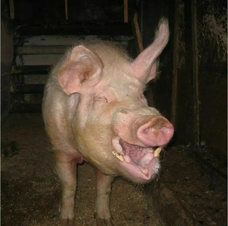 �������� �� �����: ������ ������ �� ��������� �������