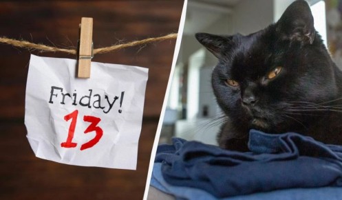 Зловещая пятница: Как защититься от невзгод 13-го числа