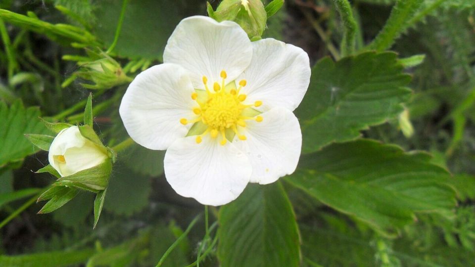 �������� � ����: ��� ������� ����� ������� �����