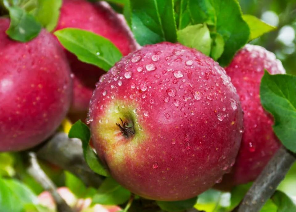 ��� �������� ������������ ������ ������������ ������� ������