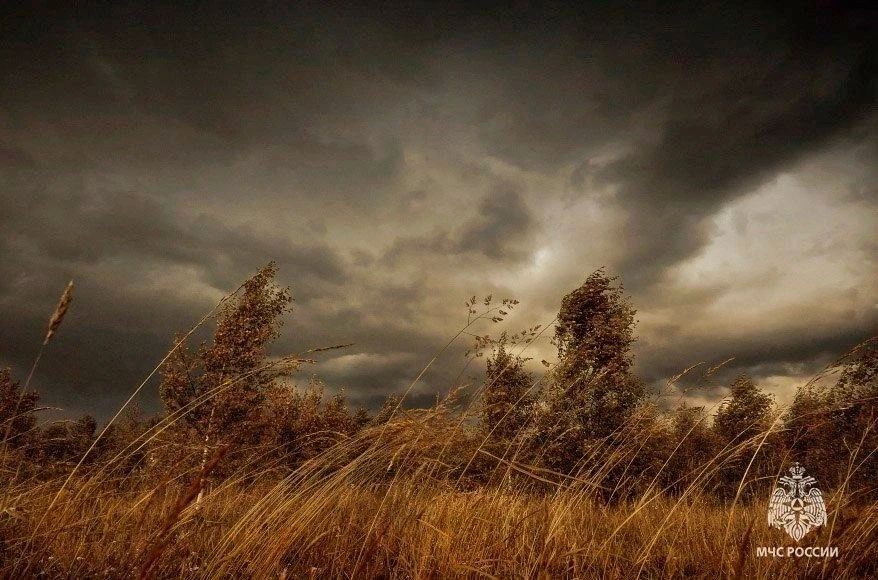 ��������� �������������� � ����