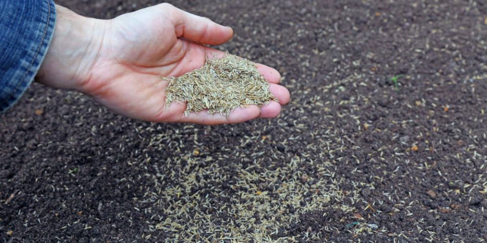 ��� ������� ��������� ����� � �����: ������� ��������� ������