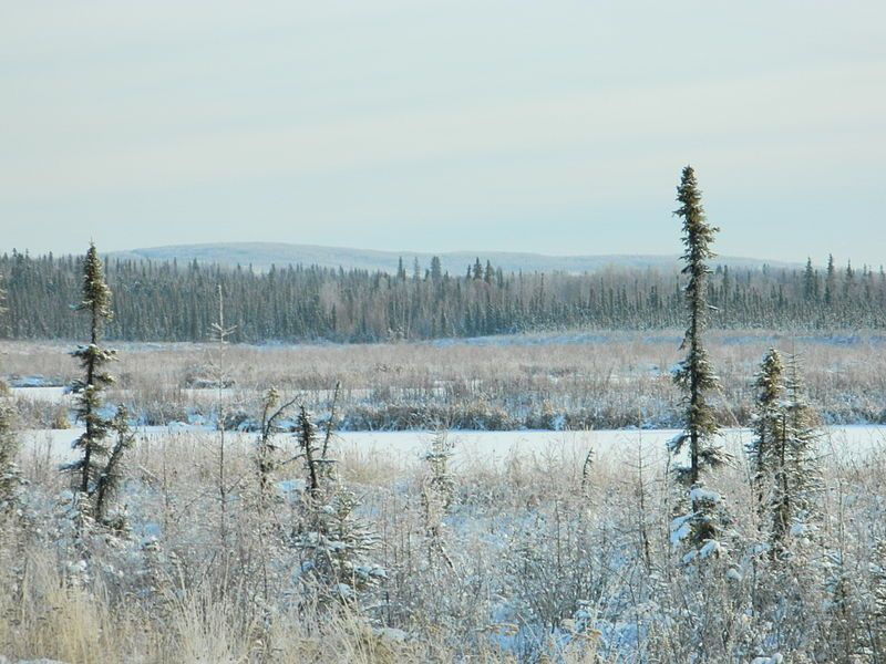 ��� �������� ������ ������� ������� ������ � ������� � �������� ��������