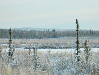 ��� �������� ������ ������� ������� ������ � ������� � �������� ��������