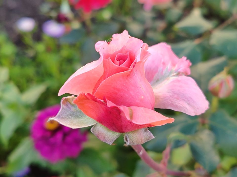 ��� ����� ������ ����� ���������� � ������ ������: ������� ��������